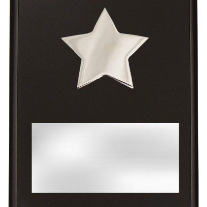 Plaque with Metal Star
