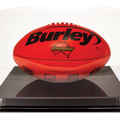 Acrylic Display Case - Oval Ball
